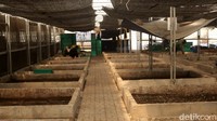 Ada 178 kotak biopond yang dapat digunakan untuk membudidayakan magot atau magotisasi di tempat ini.