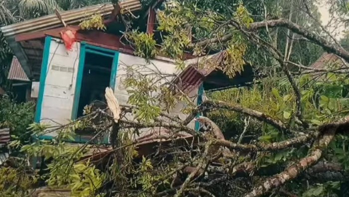 Sebanyak 19 rumah di Kabupaten Mamasa, Sulawesi Barat (Sulbar), mengalami kerusakan usai diterjang angin kencang.