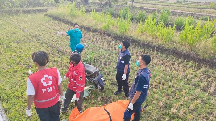Mayat lansia korban kecelakaan ditemukan di persawahan sekitar jalan Jogja-Wates, Kulon Progo, Kamis (31/10/2024).