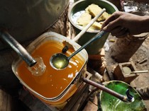 Melihat Produksi Minyak Atsiri untuk Kosmetik dan Parfum