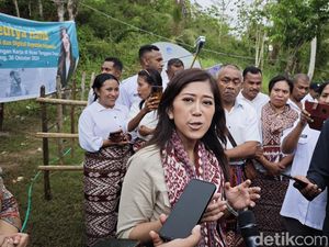 Pegawai Komdigi Terlibat Judol Bakal Dipecat Tidak Hormat? Ini Kata Meutya