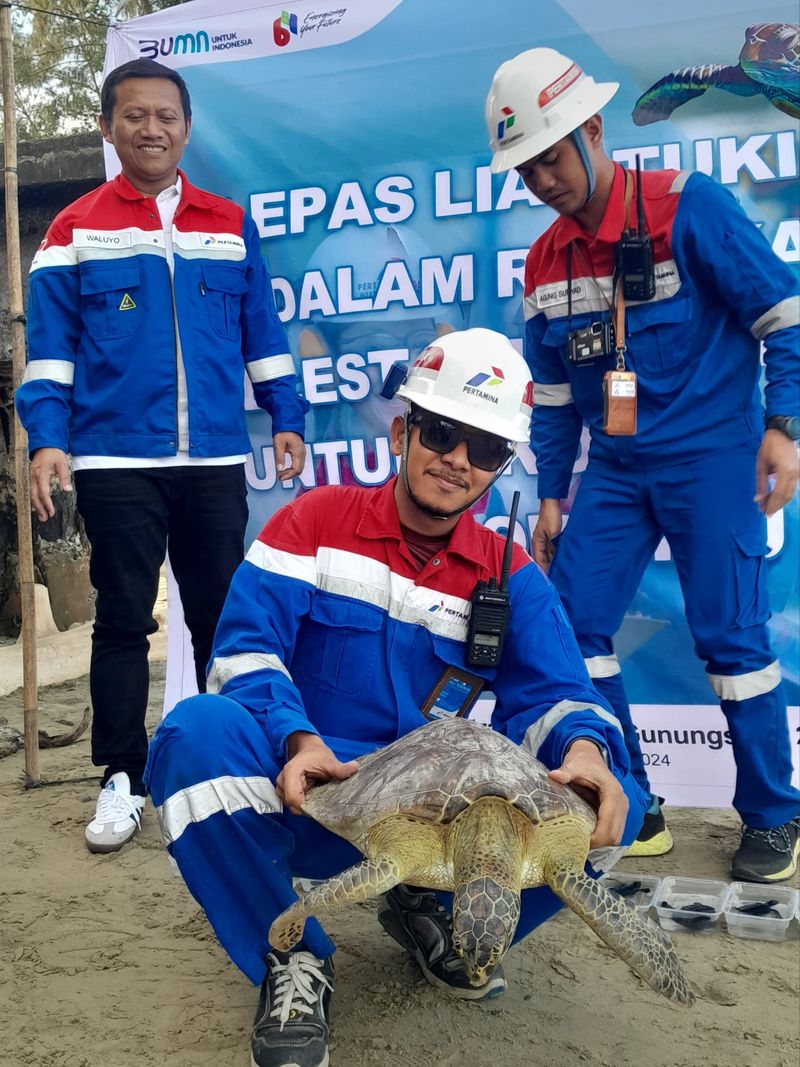 Pegawai Pertamina saat ikut melepaskan penyu ke laut (Istimewa)