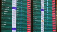 Aksi ini mengakibatkan penundaan penerbangan yang dioperasikan oleh maskapai penerbangan nasional Aerolineas Argentinas dan maskapai penerbangan lainnya.