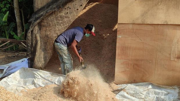 Pemanfaatan limbah dan sampah untuk membuat biomassa (Bachtiar Rifa'i)