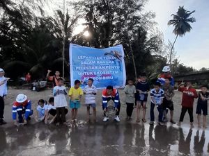 Birukan Langit Pulau Nias, si Setia Kini Bisa Berenang Bebas