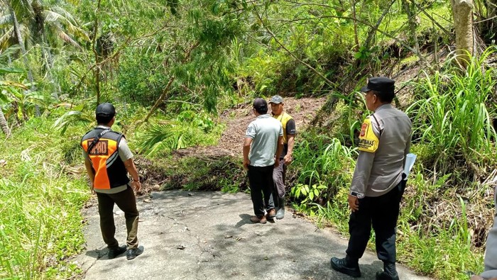 Petugas mengecek tanah longsor yang menutup akses jalan warga di Banjar Dangin Tukad, Desa Pengeragoan, Kecamatan Pekutatan, Jembrana, Kamis (31/10/2024).