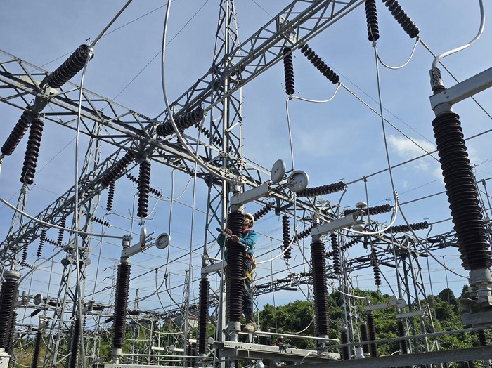 PLN