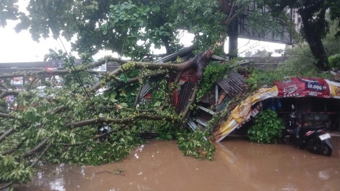 Pohon tumbang di Jalan KS Tubun, Kota Bogor
