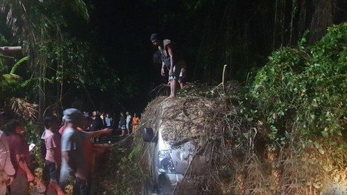Pohon tumbang di Banjar Pengosekan Klod, Desa Mas, Ubud, Gianyar, Rabu (30/10/2024) malam. (Dok. Polsek Ubud).