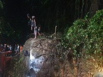 Pohon Tumbang Timpa Mobil-Motor di Ubud, 2 Orang Luka-luka