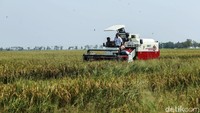 Zulhas ulhas mengatakan akan menindaklanjuti keluhan dari petani kepada Menteri Pertanian Andi Amran Sulaiman.