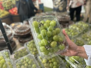 Pemprov Jateng Uji Cepat Anggur Shine Muscat, ini Hasilnya