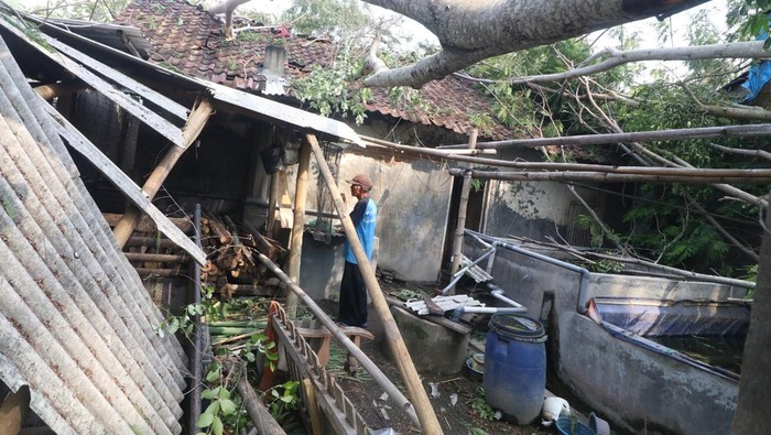 Warga berada di dekat rumahnya yang tertimpa pohon roboh setelah angin kencang melanda Desa Plosolor, Kediri, Jawa Timur, Jumat (1/11/2024). Angin kencang disertai hujan tersebut mengakibatkan sejumlah pohon roboh dan merusak belasan rumah warga yang tersebar di Desa Plosolor dan Pranggang. ANTARA FOTO/Prasetia Fauzani/Spt.