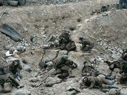 Foto Termahal yang Pernah Dijual, Ada yang Tembus Rp 194,7 Miliar