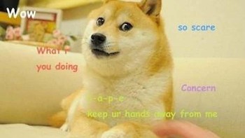 Meskipun Anda mungkin tidak langsung tahu nama Doge , ada kemungkinan besar Anda pernah melihat wajah Shiba Inu ini di internet. Sebelum menjadi bagian dari meme royal, ini hanyalah foto biasa yang diambil oleh Atsuko Sato bersama anjingnya, Kabosu. Sato menerbitkan foto tersebut di blog pribadinya pada tahun 2010, yang akhirnya berubah menjadi salah satu meme terpopuler pada dekade itu. Foto aslinya dilelang sebagai token yang tidak dapat dipertukarkan (NFT) pada tahun 2021 dan terjual seharga USD 4 juta . Foto: Ranker