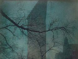 Foto Termahal yang Pernah Dijual, Ada yang Tembus Rp 194,7 Miliar