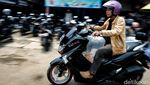 Geliat Pasar Ikan Hias yang Tak Pernah Sepi