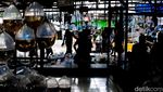 Geliat Pasar Ikan Hias yang Tak Pernah Sepi
