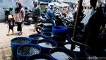 Geliat Pasar Ikan Hias yang Tak Pernah Sepi