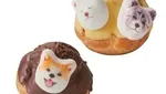 Gemas! Oleh-oleh Marshmallow Anjing Hachiko dari Jepang