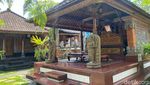 Gurih Mantap, Nasi Ayam Kedewatan Ibu Mangku Legendaris di Bali
