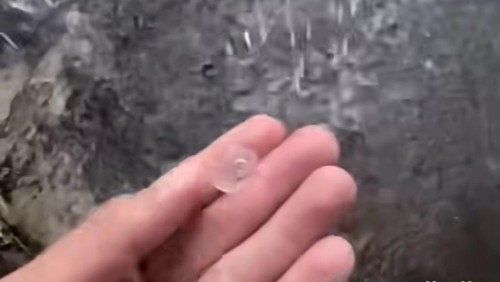 Warga mengambil butiran es yang jatuh bersama hujan di Tabanan, Jumat (1/11/2024).(Tangkapan layar IG@punapibali)