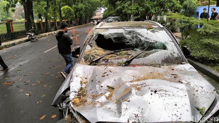 Kendaraan tertimpa pohon tumbang di Jalan Cisadea Bandung