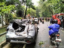 Pohon Tumbang di Jalan Cisadea Bandung, 5 Mobil Rusak-Ibu dan Anak Luka