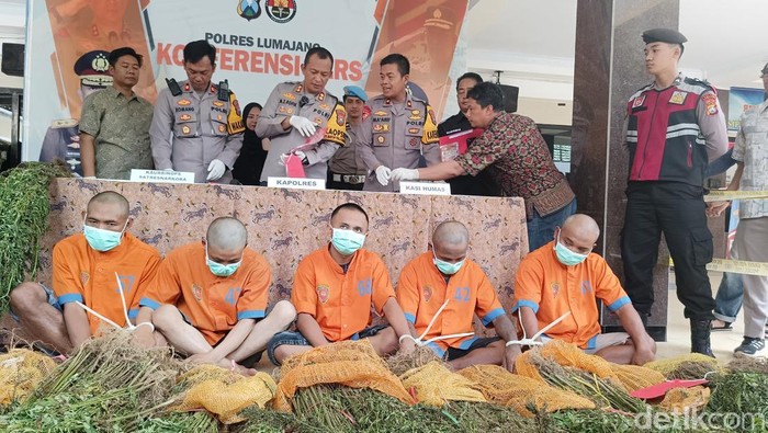 Konferensi pers ungkap kasus temuan ladang ganja di Lereng Semeru.