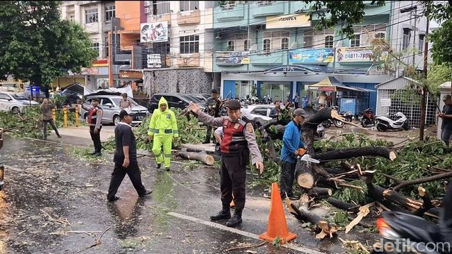 Pohon Tumbang Lumpuhkan