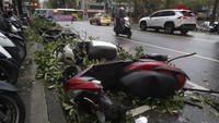 Pohon-pohon tumbang akibat topan besar tersebut juga menimpa motor-motor yang sedang terparkir.
