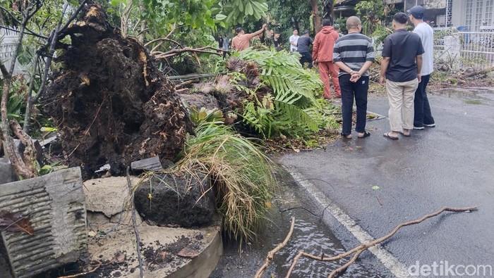 Pohon tumbang di Jalan Cilaki Kota Bandung.