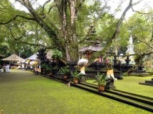 Desa Tajun, Pusat Produksi Cengkeh di Bali Utara