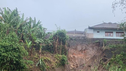 Tanah longsor hingga pohon tumbang terjadi di wilayah Tabanan akibat hujan angin pada Jumat (1/11/2024) siang. (BPBD Tabanan)