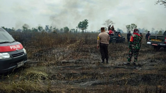 Hutan di kawasan Taman Nasional Way Kambas, Lampung Timur terbakar selama dua hari. Ratusan hektare lahan hangus dilalap api.