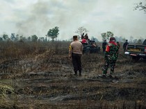 TN Way Kambas Kebakaran, Polisi Diminta Usut Siapa Dalangnya