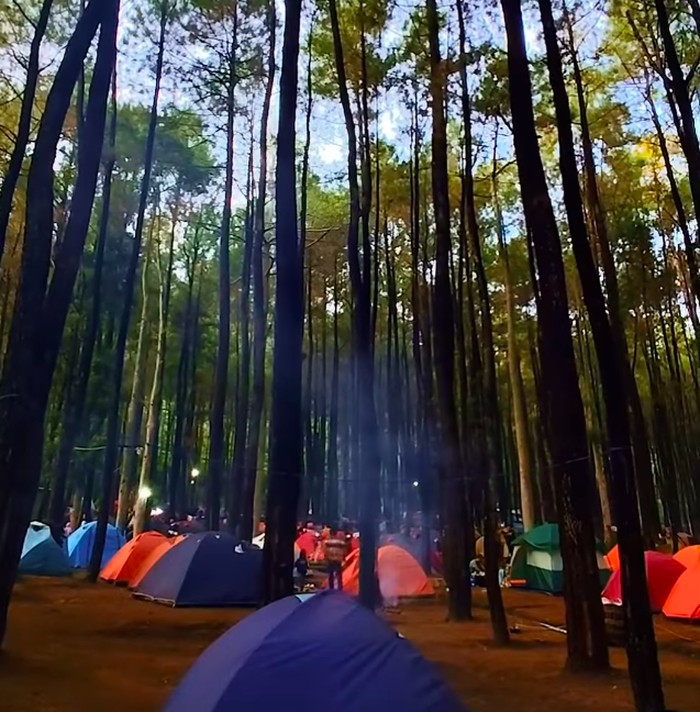 Wisata alam & bumi perkemahan Klurak Eco Park Mojokerto.