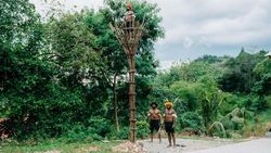 Bakar Batu Tradisi Penting Suku Dani Lembah Baliem Bakar Batu Tradisi Penting Suku Dani Lembah Baliem