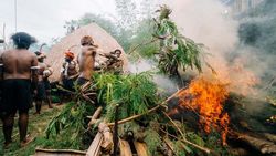 Bakar Batu Tradisi Penting Suku Dani Lembah Baliem Bakar Batu Tradisi Penting Suku Dani Lembah Baliem
