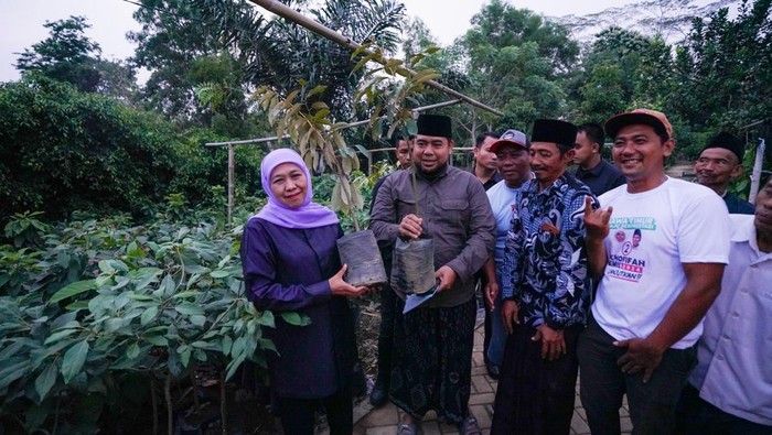 Cagub Jatim Khofifah bersama petani bibit durian di Trenggalek