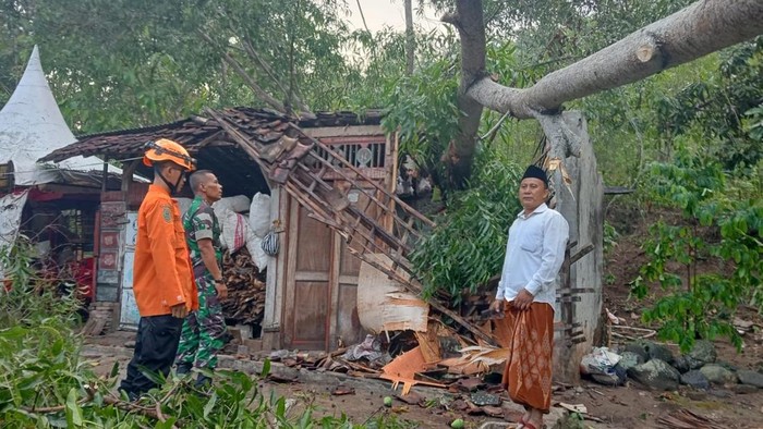 Pohon tumbang akibat cuaca ekstrem rusak lima rumah warga di Trenggalek