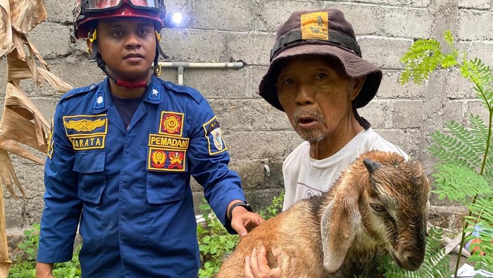 Evakuasi anak kambing tercebur sumur di Desa Kalikebo, Kecamatan Trucuk, Klaten, Sabtu (2/11/2024).