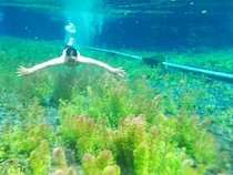 Menikmati Renang di Telaga Semeru