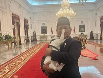 Video: Momen Gemas Bobby Kertanegara Gigit Wajah Prabowo