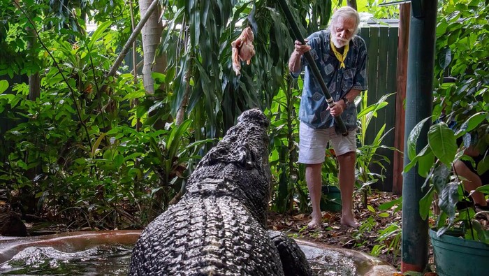 Potret Cassius Buaya Terbesar di Dunia The world's largest captive crocodile, Cassius is pictured at the Marineland Melanesia on Green Island, Great Barrier Reef, Cairns, Australia March 18, 2023. AAP Image/Brian Cassey via REUTERS ATTENTION EDITORS - THIS IMAGE WAS PROVIDED BY A THIRD PARTY. NO RESALES. NO ARCHIVE. AUSTRALIA OUT. NEW ZEALAND OUT. NO COMMERCIAL OR EDITORIAL SALES IN NEW ZEALAND. NO COMMERCIAL OR EDITORIAL SALES IN AUSTRALIA. TPX IMAGES OF THE DAY