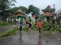 Angin Puting Beliung di Muba Sebabkan Pohon Tumbang hingga Rumah Rusak