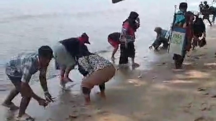 Sejumlah warga dan wisatawan di Pantai Carita mengambil ikan yang muncul ke daratan (dok istimewa)