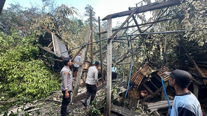 Warga Blitar tewas tertimpa pohon