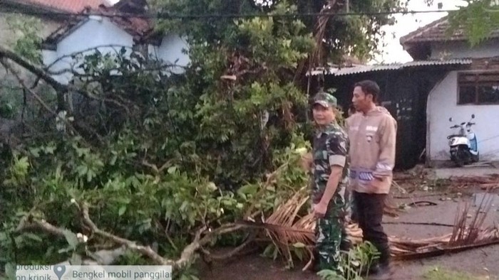 Angin Kencang Kembali Terjang Trenggalek, 24 Rumah Rusak