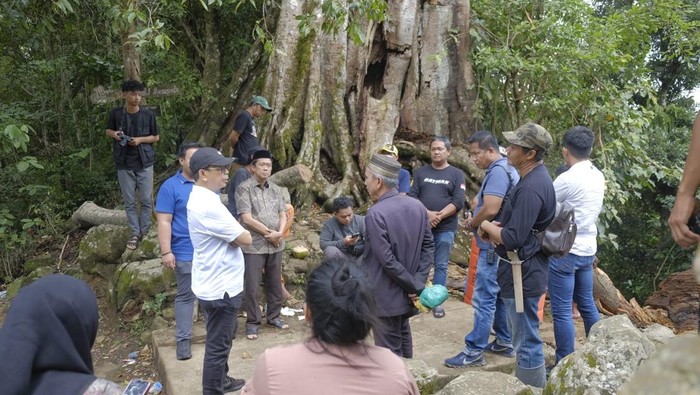 Cabup Soppeng Suwardi meninjau lokasi pohon tumbang di Situs Situs Petta Bulu Matanre.